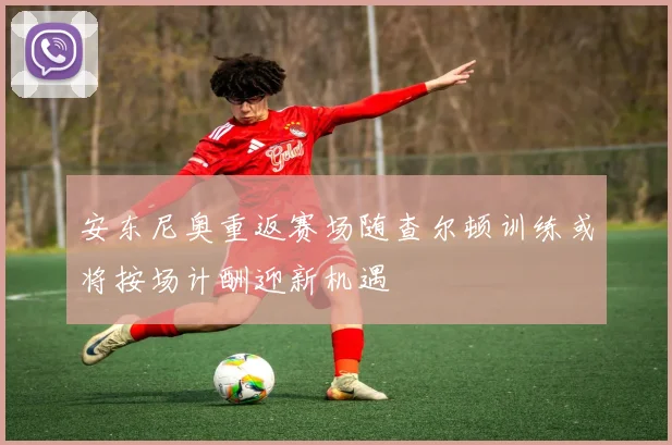 安东尼奥重返赛场随查尔顿训练或将按场计酬迎新机遇