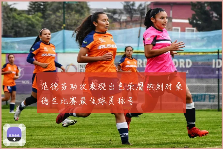 范德芬助攻表现出色荣膺热刺对桑德兰比赛最佳球员称号