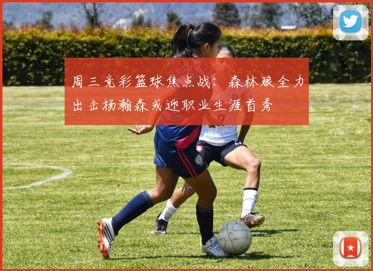 周三竞彩篮球焦点战：森林狼全力出击杨瀚森或迎职业生涯首秀