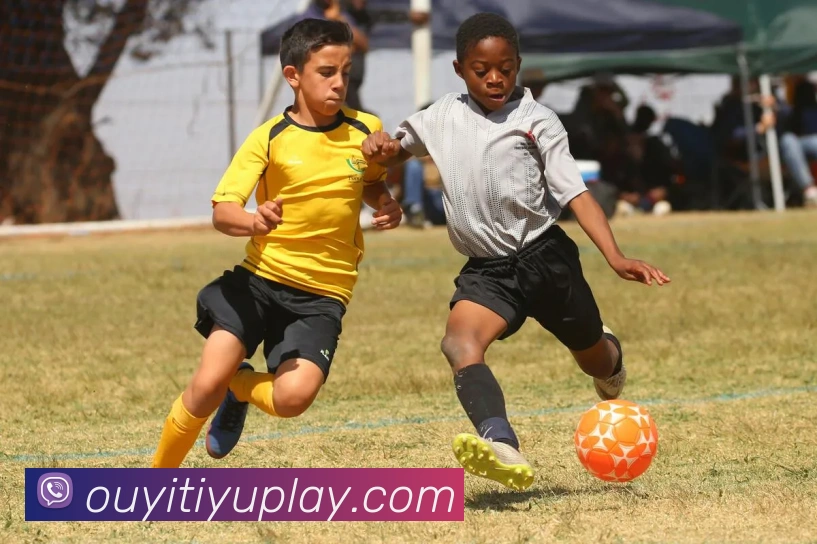 欧亿体育平台生态图