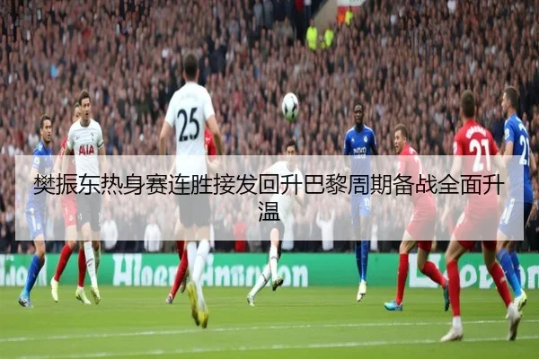 樊振东热身赛连胜接发回升巴黎周期备战全面升温(oetysports)